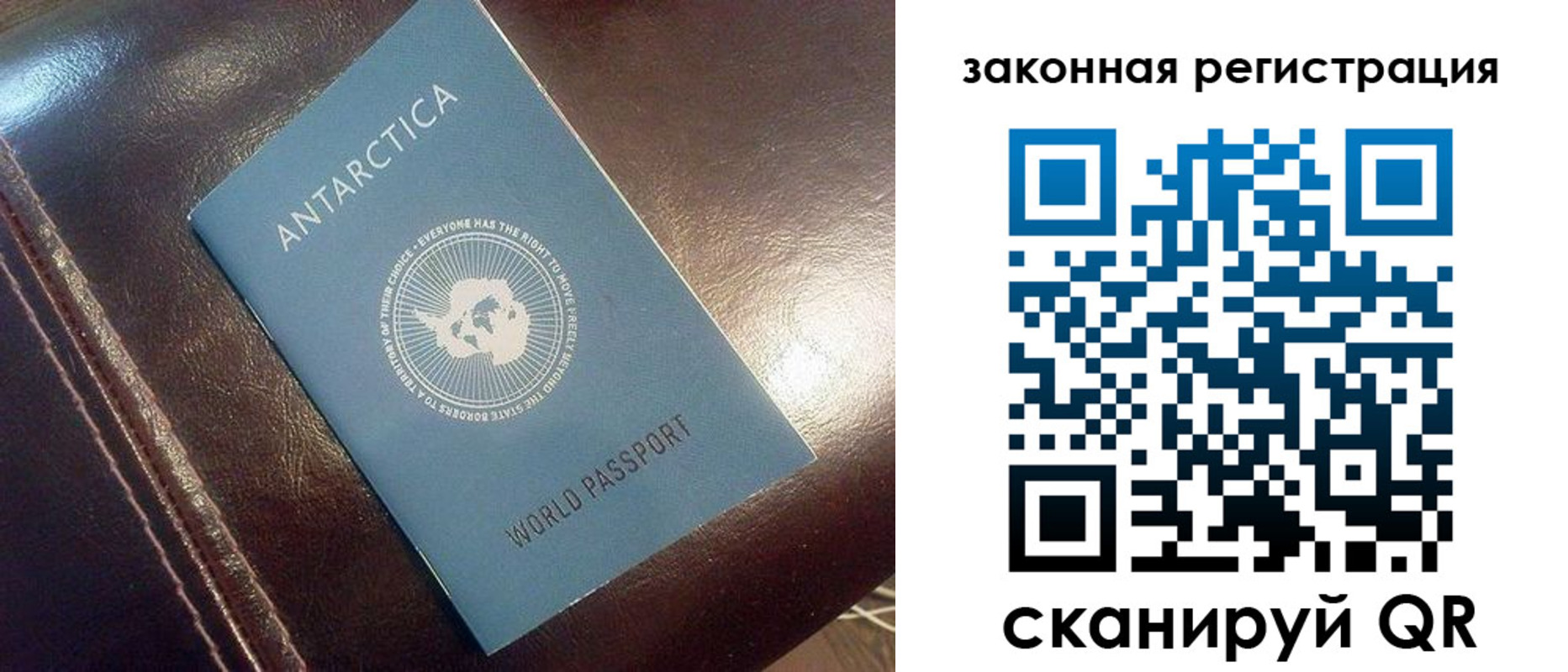 временная регистрация поиск в Сольцах